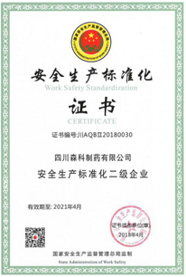 安全生产标准化二级企业证书