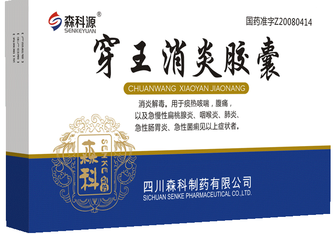 穿王消炎胶囊24粒