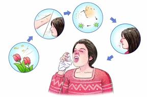 夏季鼻炎你知多少？教你如何快速治疗鼻炎。