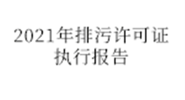 2021年排污许可证执行报告